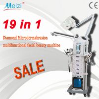 19 in 1 Multifunctional Facial beauty machine 