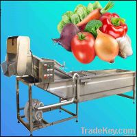 Vegetable Washing Machine