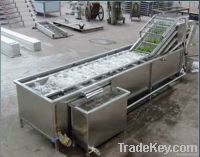 Fruit Washing Machine