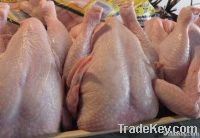Halal Whole Frozen Chicken Parts &amp; Chicken Feets 