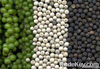 Black Pepper 500g/L-550g/L