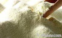 Milk Powder