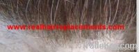 Hair Replacements   Men's Toupee