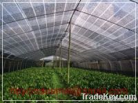 30%--90%hide shade rate sun shade net