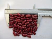 dark red kidney beans