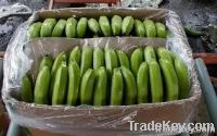 Fresh Bananas Available...