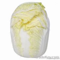 Fresh Chinese Cabbage