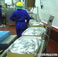 seafood cardboard box, packaging cardboard box, cheap cardboard box