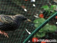 Anti- Bird Netting