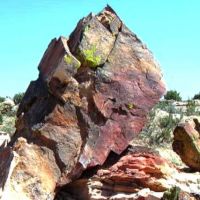 Arizona's Petrified Wood & Rainbow Sandstone