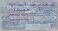 Forest Green Quartzite panel supplier, exporter