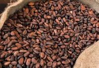 Peas/Chickpeas/Cocoa Beans/Coffee Beans