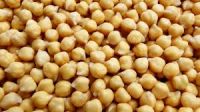 Red Kidney Beans/White Maize/Yellow