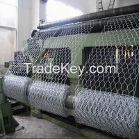 Galvanized Chicken Wire Mesh / Hexagonal Wire Mesh