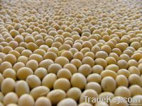 Soybeans