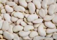 BUTTER BEANS