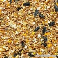 Chicken Feed