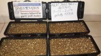 Affordable African Gold Of High Quality