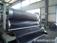 Geomembrane
