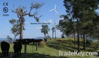 3KW wind turbine