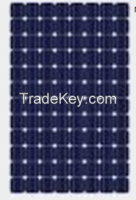 Mono Solar Module