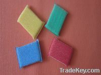 Scouring Pad