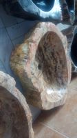 Petrified Wood