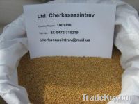 millet  in shell