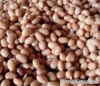 soyabeans