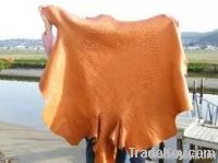 Ostrich Skins
