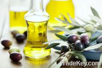 Olive Oil