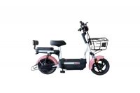 China Standard Electric Bike for Lady