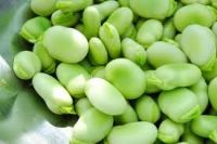 60-70pcs/100g Broad beans/fava beans