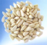 Pine Nut Kernels