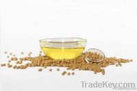 Crude Soybean Oil