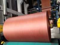 Nylon 6 Dipped Tyre Cord Fabric