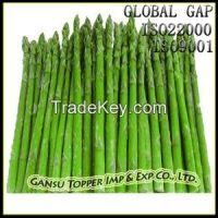 IQF Green Asparagus