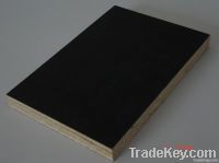 Brown Film faced plywood