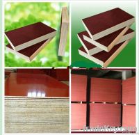 Okoume Plywood