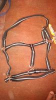 PP Horse Halters Black, size pony cob,full