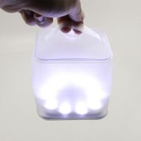 Original Factory Patent Owned Waterproof Led