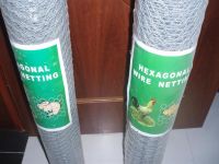 Hexagonal Galvanized Wire Mesh for Chicken Fence and Poultry Cage in South America