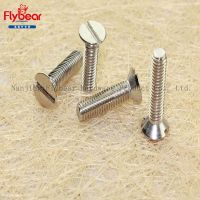 flat head screw slotted