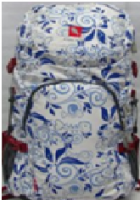 Hiking Pack