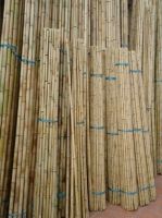 bamboo poles, bamboo poles high quality, cheap bamboo poles, nice bamboo pole, best price bamboo poles, natural bamboo poles