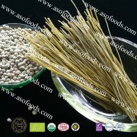 Organic Pea Spaghetti Suitable For People