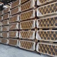 cast Iron pipes