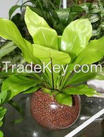 Factory Direct Home Decor Bonsai Clay