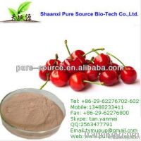 10:1 cherry extract/10:1 cherry powder/10:1 acerola cherry extract