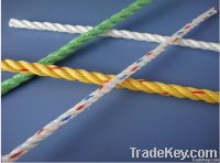 pp danline rope